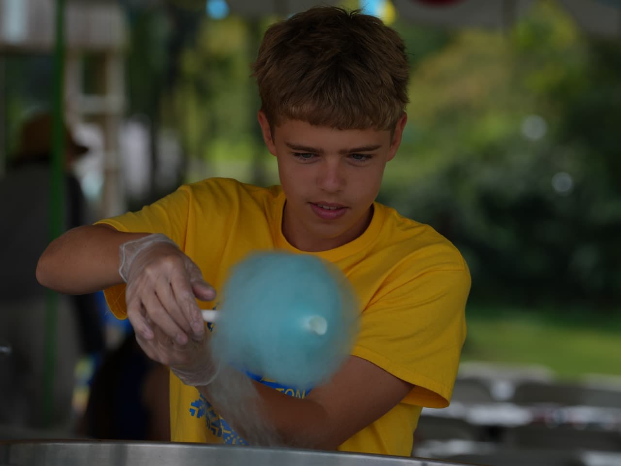 Washington Ukrainian Festival 2026, photo 34