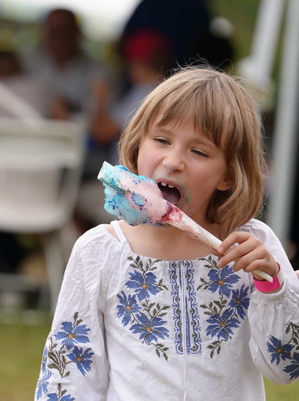 Washington Ukrainian Festival 2026, photo 39